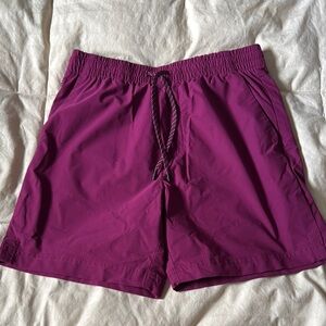 J Crew Purple Athletic Shorts small
